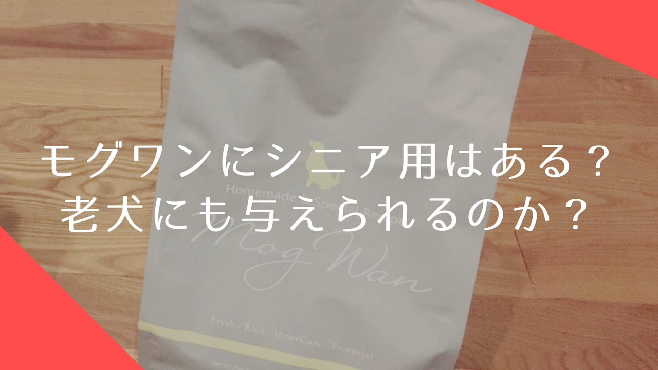 モグワンにシニア用はないの？老犬（シニア）にも与えられるのか