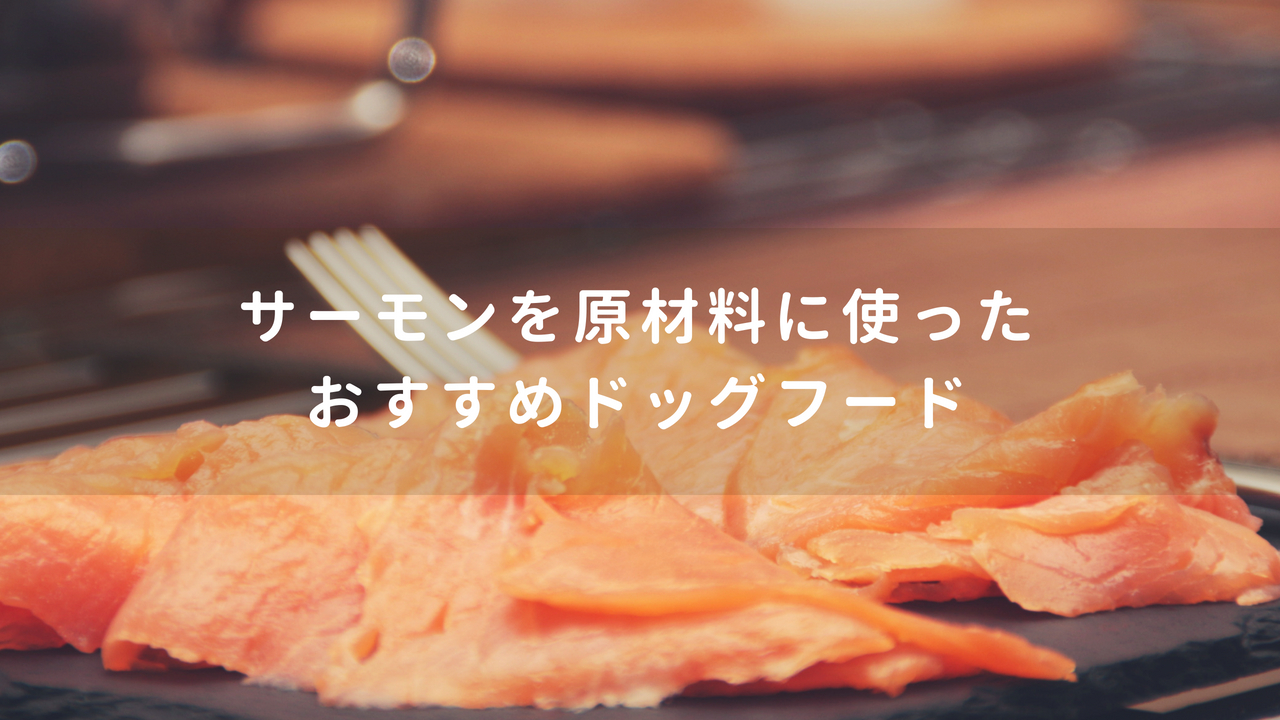 サーモンを原材料に使ったおすすめドッグフード Myドッグフード